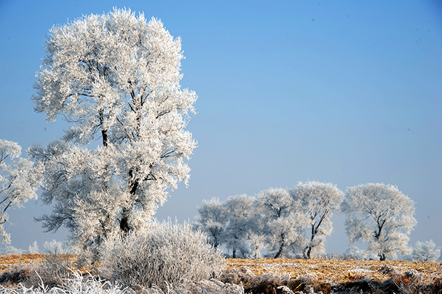 雾凇岛2.JPG 雾凇岛2.JPG