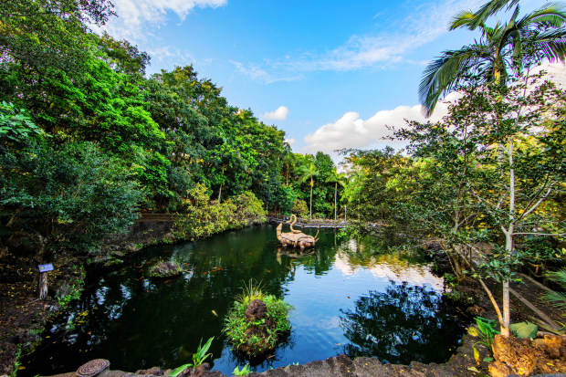 image031 (2).jpg image031 (2).jpg